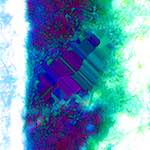 image: Image from the photoset ‘
damage (ccxcii)
’.