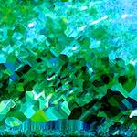 image: Image from the photoset ‘
damage (ccxciv)
’.