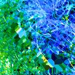 image: damage (ccxciv) photoset