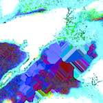 image: Image from the photoset ‘
damage (ccxcv)
’.