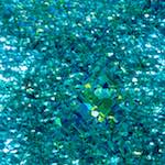 image: Image from the photoset ‘
damage (ccxcv)
’.