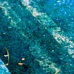 image: Image from the photoset ‘
damage (ccxcv)
’.