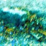 image: Image from the photoset ‘
damage (ccxcv)
’.