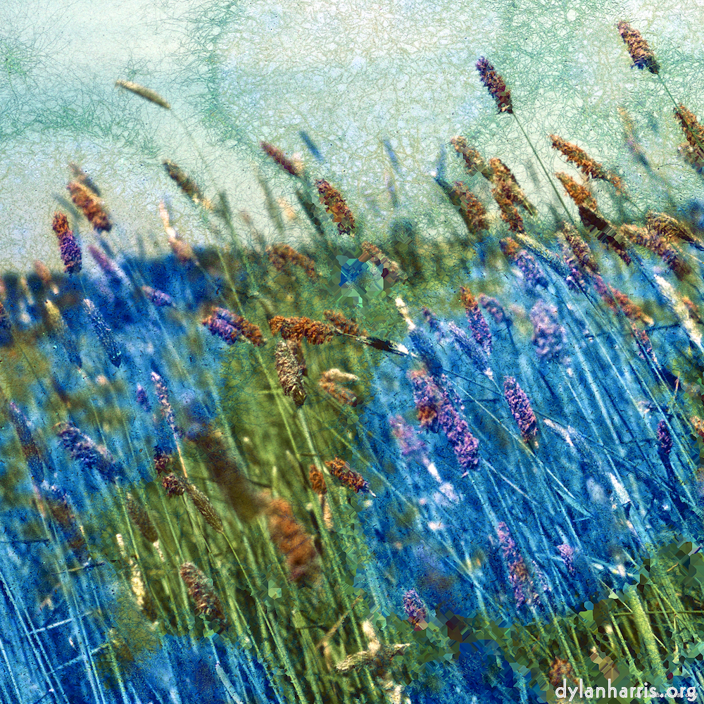 image: This is ‘
damage (ccxcvi) 1
’.