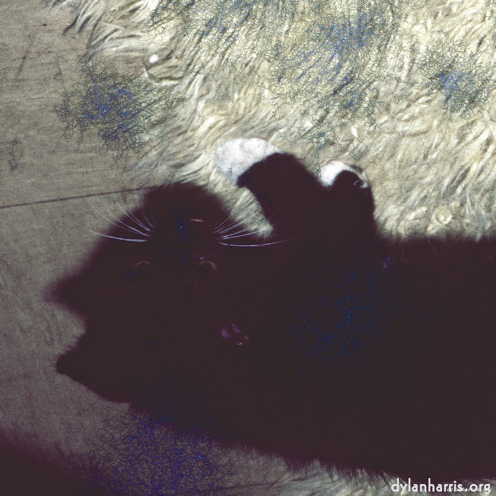 image: This is ‘
damage (ccxcvi) 2
’.