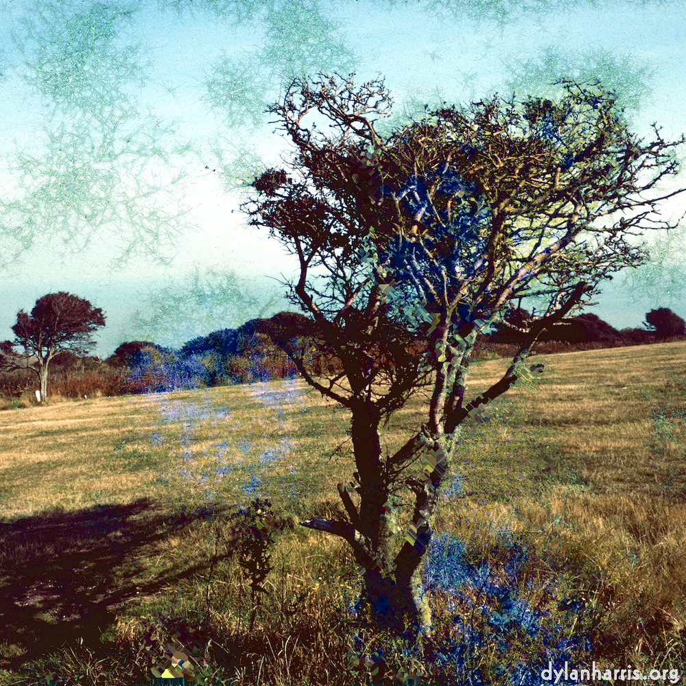 Image 'damage (ccxcvi) 6'.