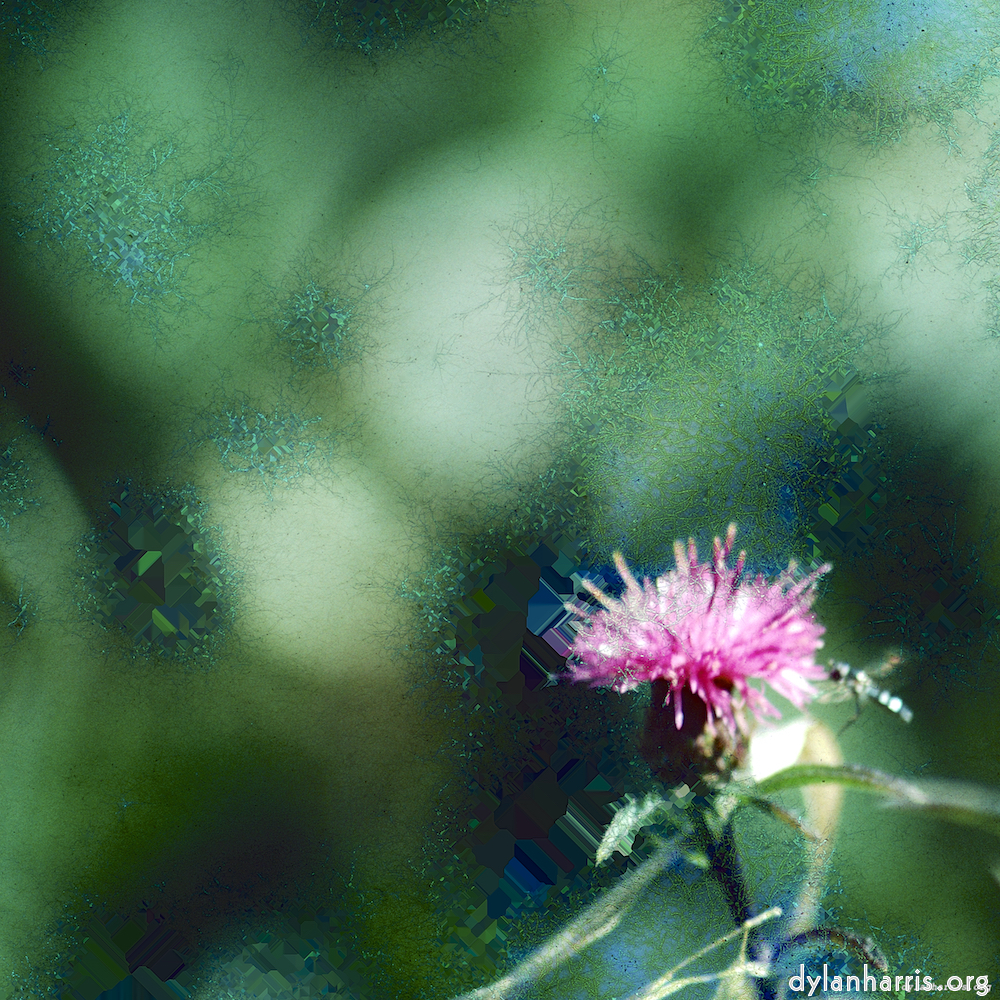 Image: Image 'damage (ccxcvi) 7'.