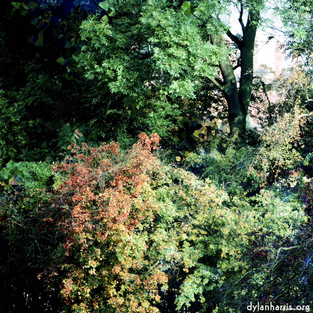 Image: Image 'damage (ccxcvi) 8'.