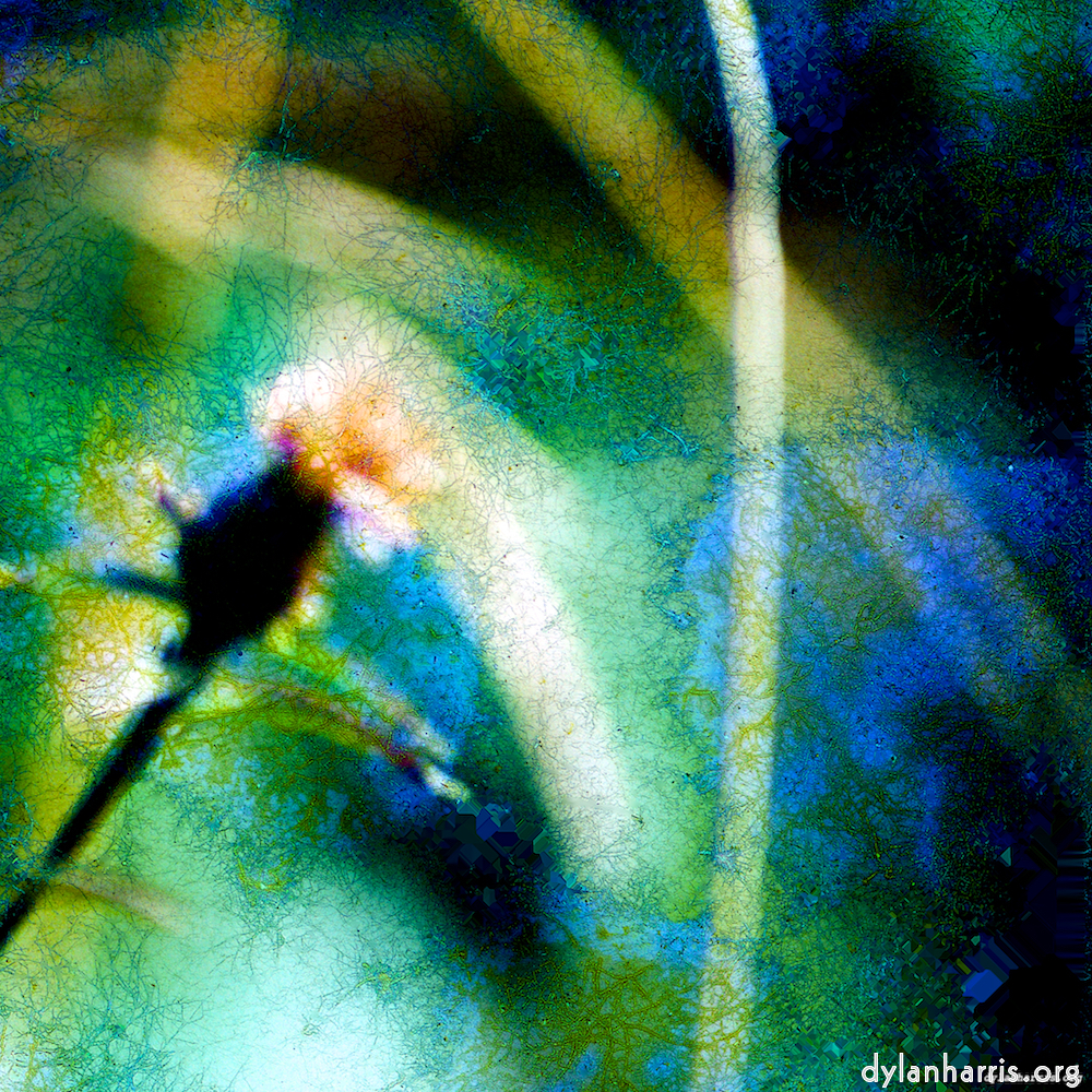 image: This is ‘
damage (ccxcvi) 9
’.