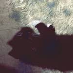 image: Image from the photoset ‘
damage (ccxcvi)
’.