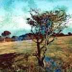 image: Image from the photoset ‘
damage (ccxcvi)
’.