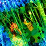 image: Image from the photoset ‘
damage (ccxcvii)
’.