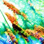 image: Image from the photoset ‘
damage (ccxcvii)
’.