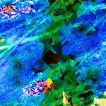 image: Image from the photoset ‘
damage (ccxcvii)
’.