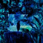 Second image from the photoset 'damage (ccxcviii)'.