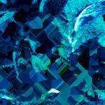 Sixth image from the photoset 'damage (ccxcviii)'.