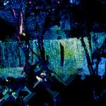 Eighth image from the photoset 'damage (ccxcviii)'.