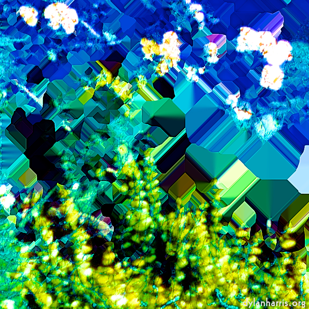 Image: Image 'damage (ccic) 5'.