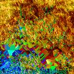 image: Image from the photoset ‘
damage (ccc)
’.