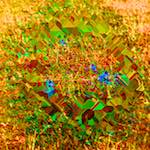 image: Image from the photoset ‘
damage (ccc)
’.