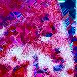 image: Image from the photoset ‘
damage (ccci)
’.