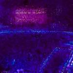 image: Image from the photoset ‘
damage (ccciii)
’.