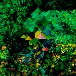 image: Image from the photoset ‘
damage (ccciii)
’.