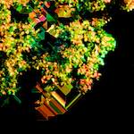 image: Image from the photoset ‘
damage (ccciii)
’.