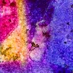 image: Image from the photoset ‘
damage (ccciii)
’.