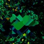 image: Image from the photoset ‘
damage (ccciv)
’.