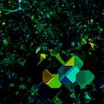 image: Image from the photoset ‘
damage (ccciv)
’.