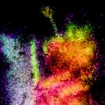 image: damage (ccciv) photoset