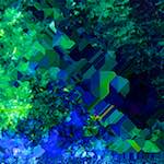 image: Image from the photoset ‘
damage (ccciv)
’.