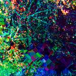 image: Image from the photoset ‘
damage (ccciv)
’.