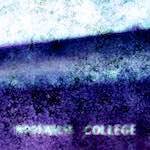 image: Image from the photoset ‘
damage (xv)
’.