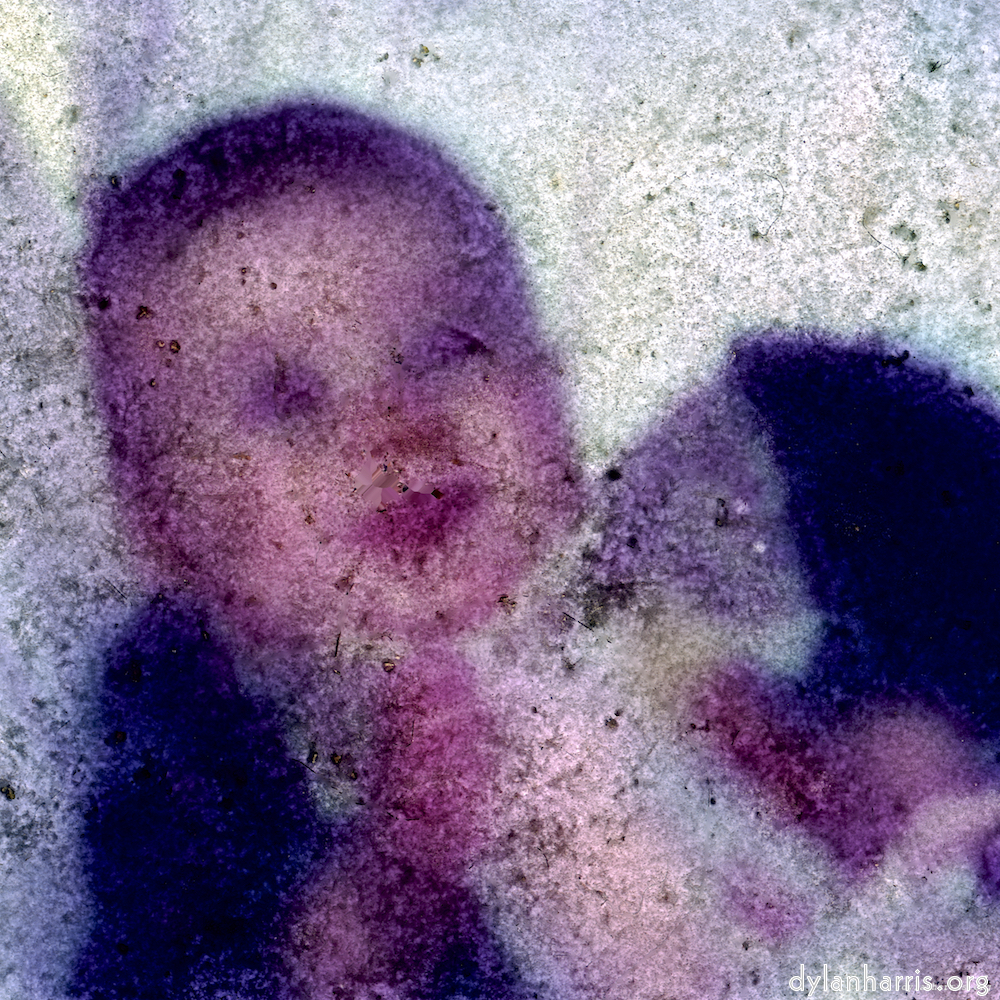 image: This is ‘
damage (xvi) 1
’.