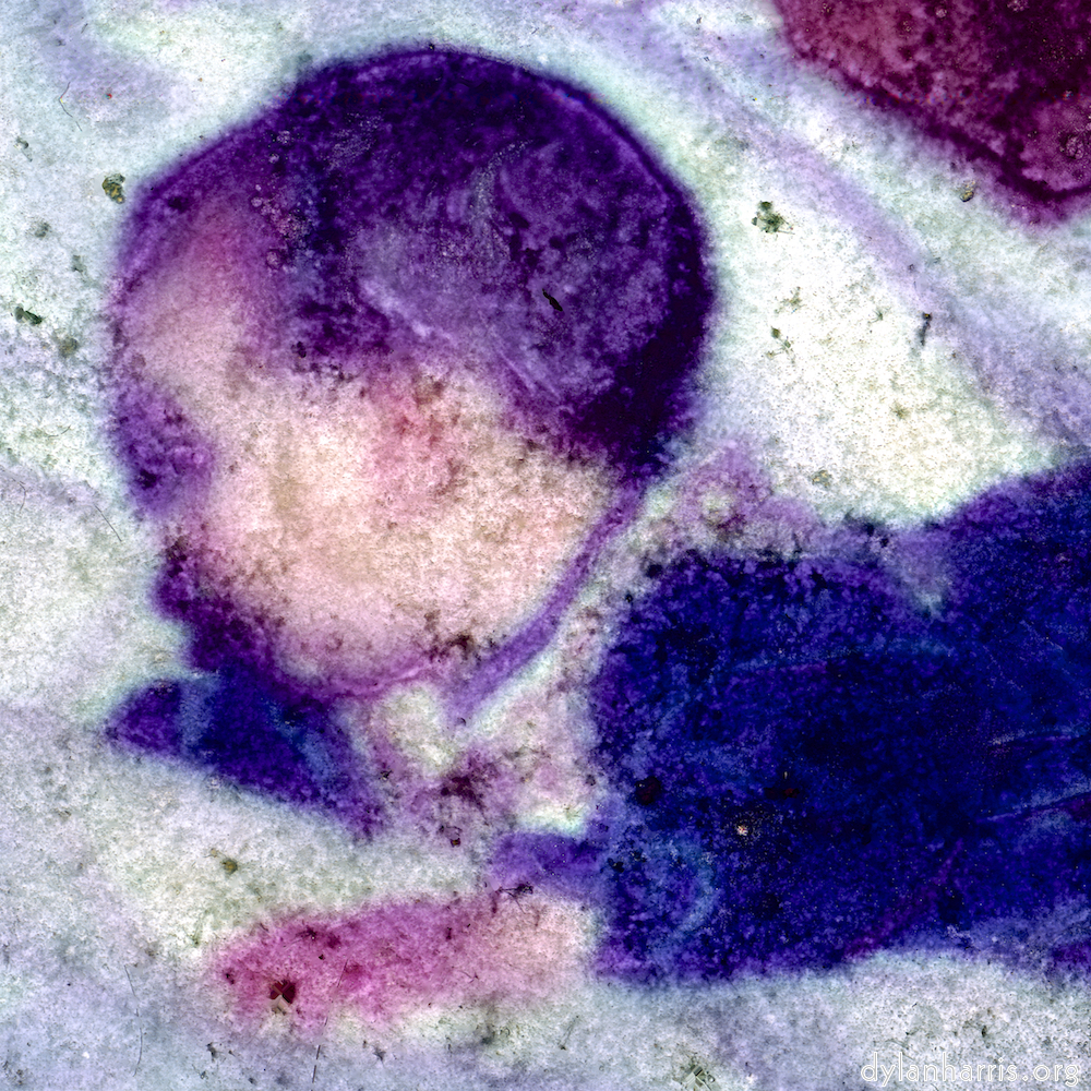 Image: Image 'damage (xvi) 3'.