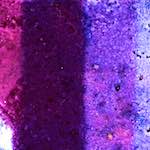 image: Image from the photoset ‘
damage (xvi)
’.