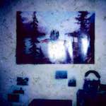 image: Image from the photoset ‘
damage (xvii)
’.