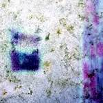 image: Image from the photoset ‘
damage (xvii)
’.