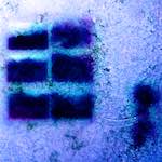 image: Image from the photoset ‘
damage (xvii)
’.