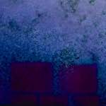 image: Image from the photoset ‘
damage (xvii)
’.