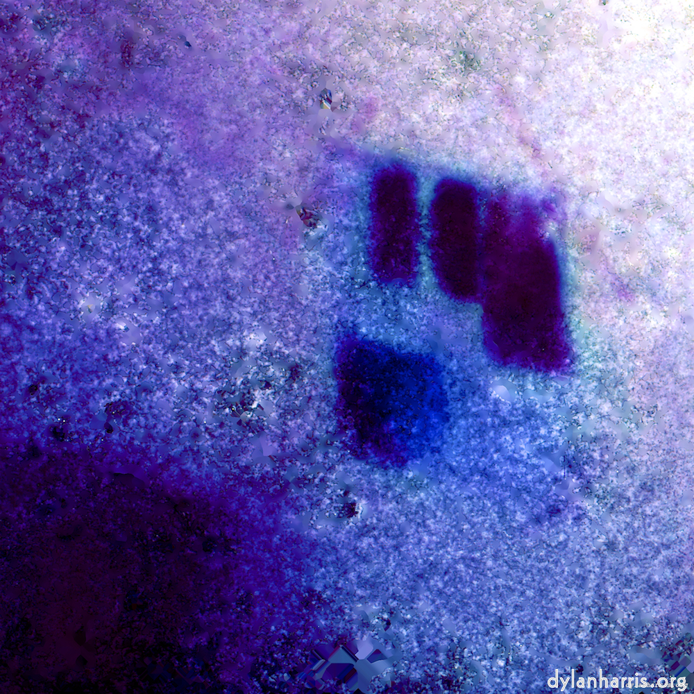 Image 'damage (xviii) 1'.