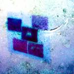 image: Image from the photoset ‘
damage (xviii)
’.