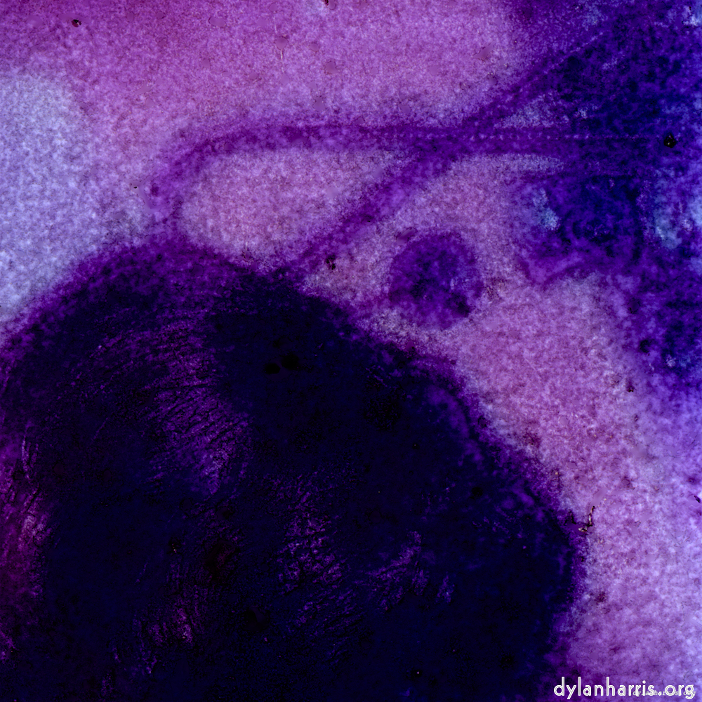 Image 'damage (v) 7'.