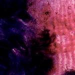 image: Image from the photoset ‘
damage (v)
’.