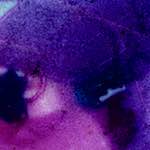 image: Image from the photoset ‘
damage (v)
’.