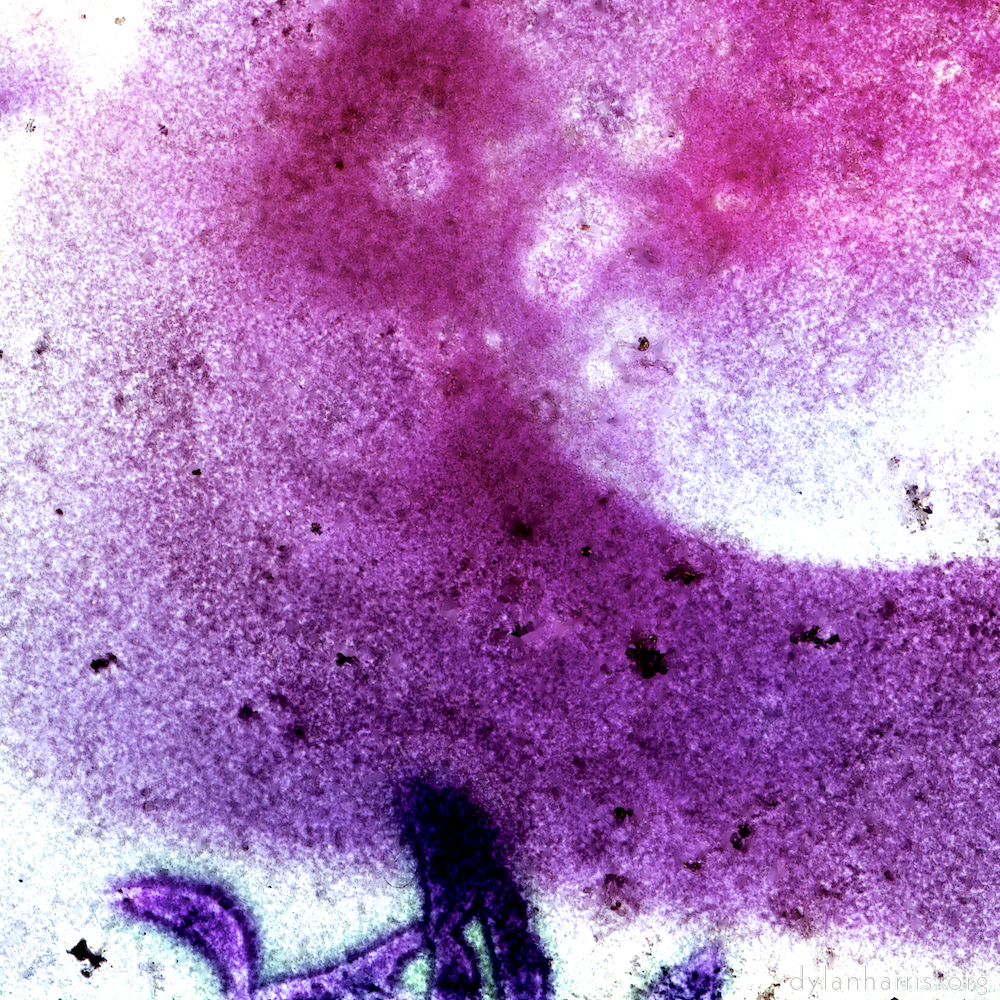 image: This is ‘
damage (vi) 2
’.