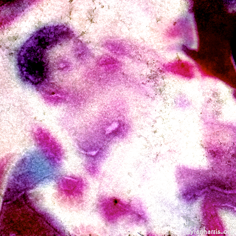 Image: Image 'damage (vi) 5'.