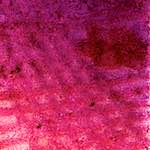 image: Image from the photoset ‘
damage (vi)
’.